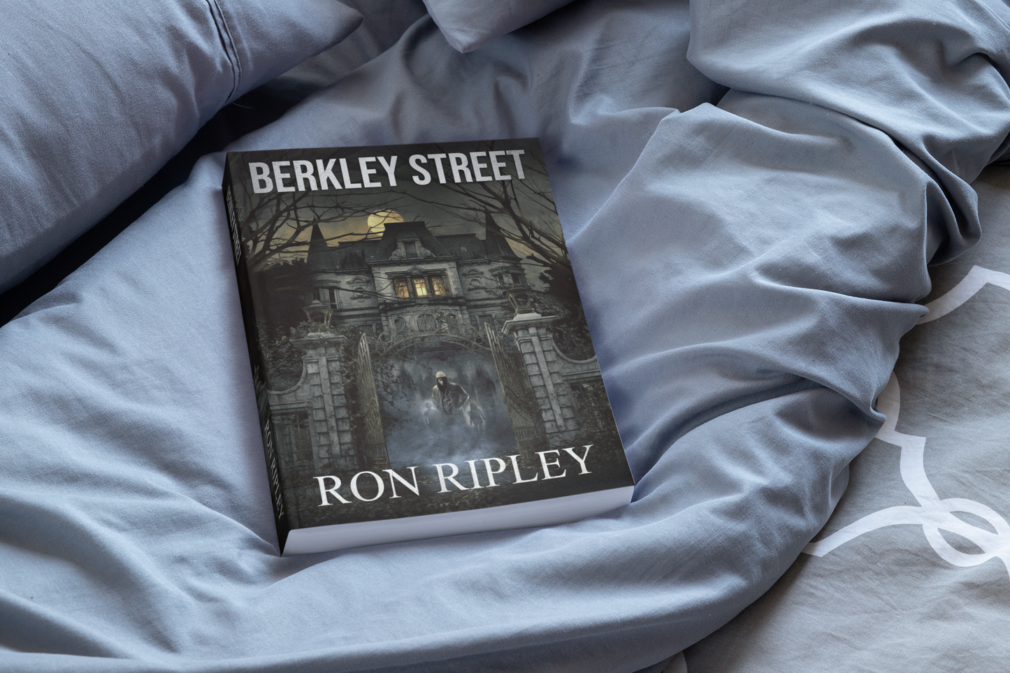 Berkley Street Bundle Books 1 - 9