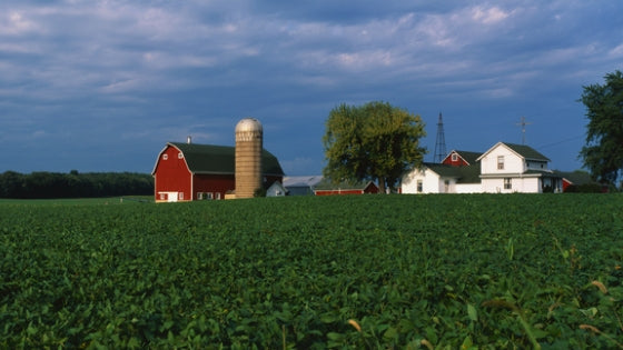 The Alday Family Murders