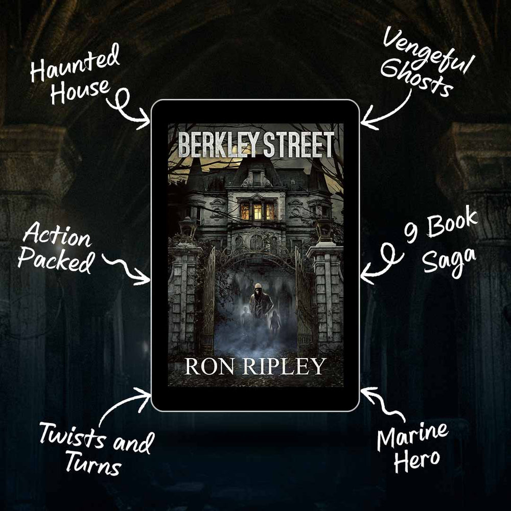 Book cover of 'Berkley Street' by Ron Ripley with descriptive text on a dark background