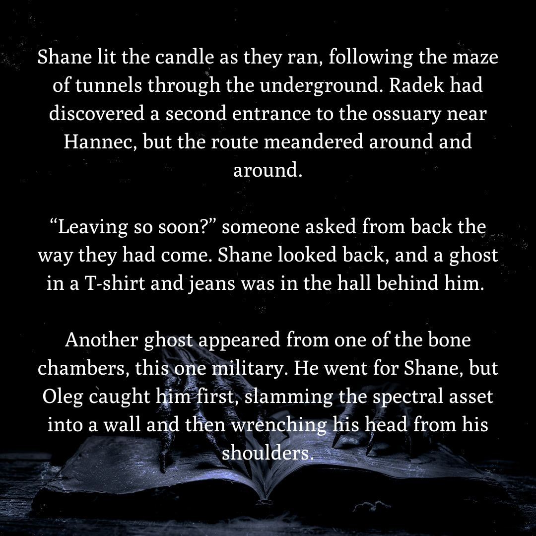 Shadow Stalker: The Ghost Reapers Series Book 2