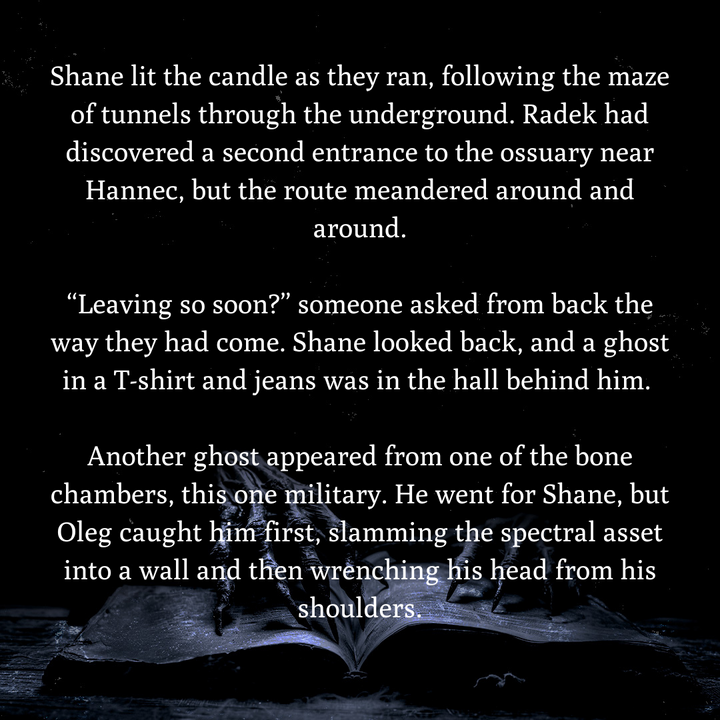 Shadow Stalker: The Ghost Reapers Series Book 2