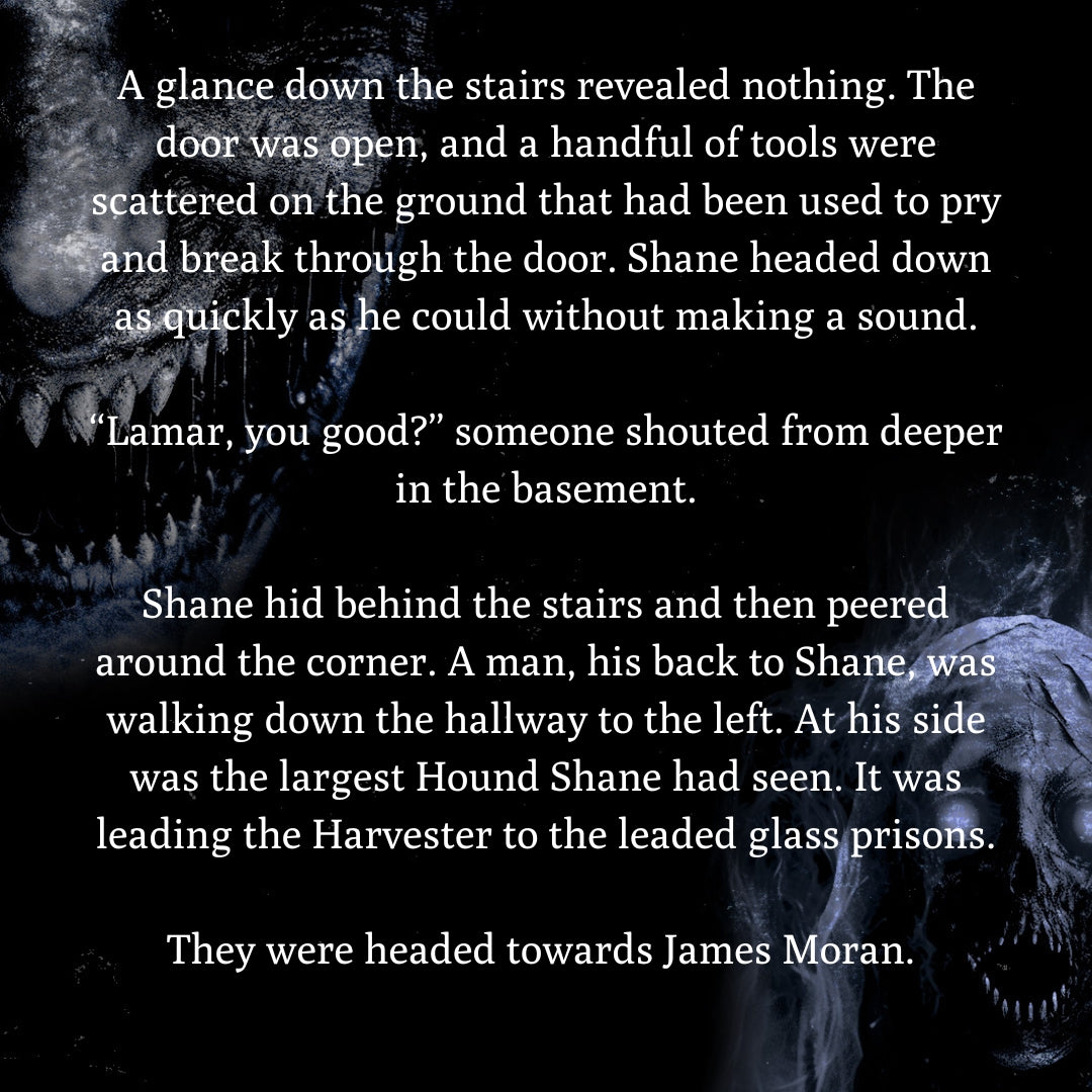 Shadow's Wrath: The Shadow Hunt Series Book 3